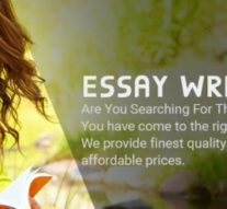 UK Essay Writing Services for the School and College Students