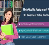 The Best Coursework Writing Service for a High Quality Coursework