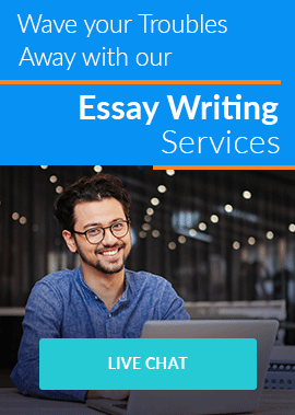 essay writing service UK