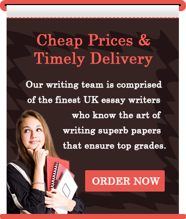 UK essay writing service