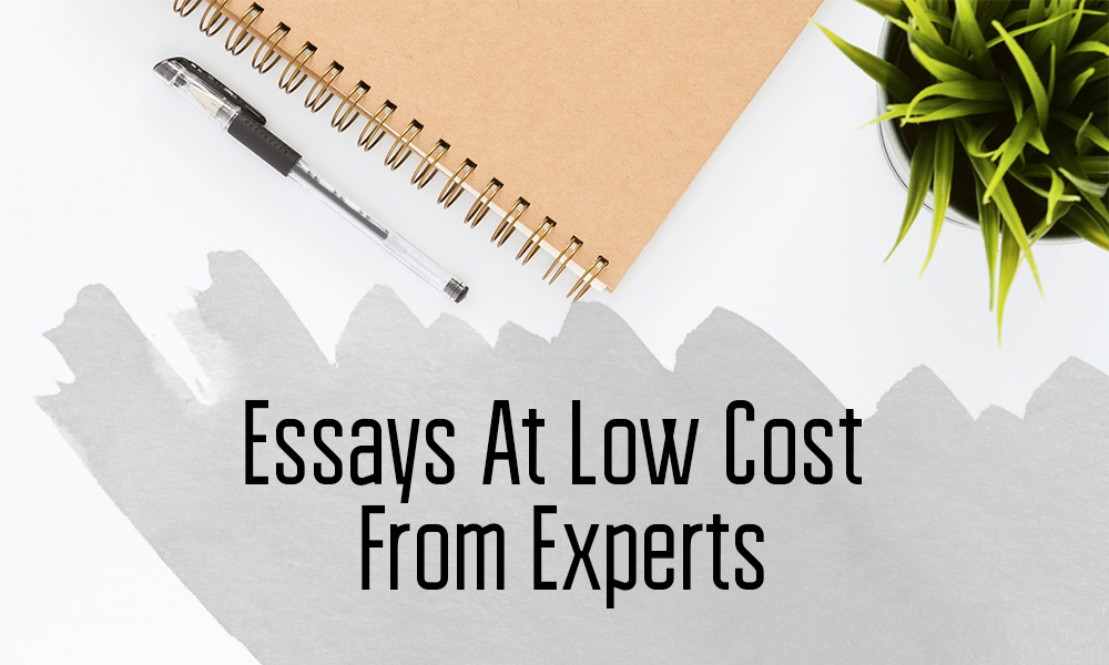 Custom essays in UK