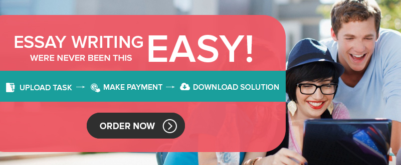 essay writing service UK
