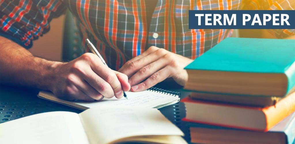 Term paper writing service